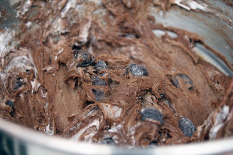 Hot-Cocoa-Cookies-Dark-Chocolate-Chips.jpg
