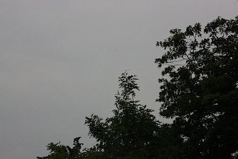 IMG_4475.JPG