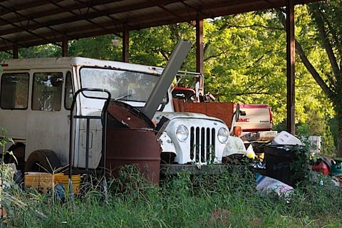 IMG_5555.JPG