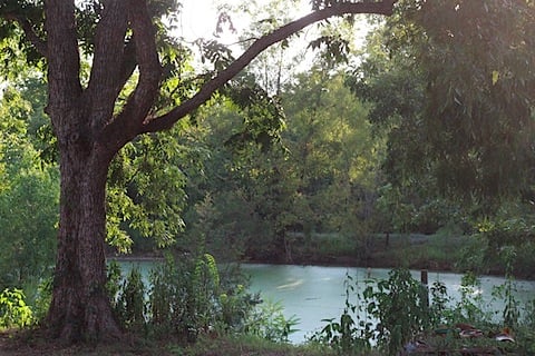 IMG_5557.JPG