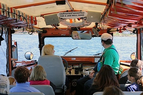 IMG_7513.jpg