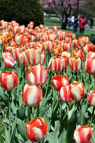 IMG_7558.jpg