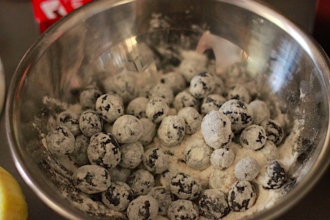 Bluberries in Flour IMG_7596