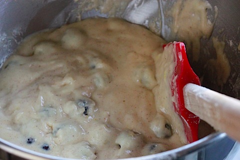 Blueberry-Lemon Bread Batter IMG_7598