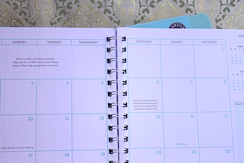 IMG_9525