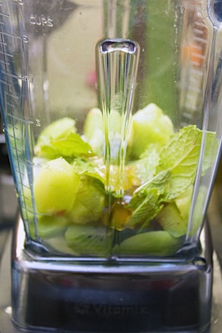Kiwi Mint Tequila Cocktail Blender.jpg