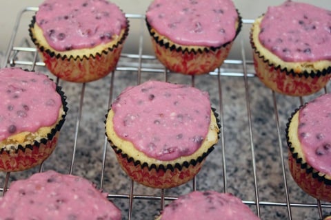 Lemon-Blackberry-Cupcakes-Frosted.jpg