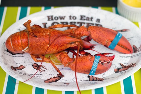 Lobster.jpg