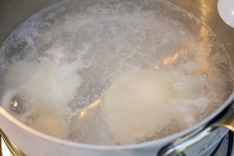 Mexican Eggs Benedict Poached Eggs.jpg