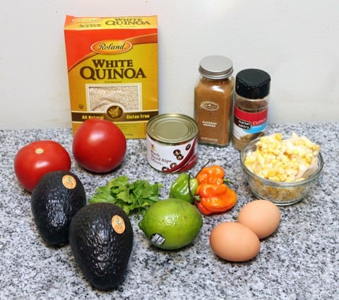 Mexican-Quinoa-Ingredients.jpg
