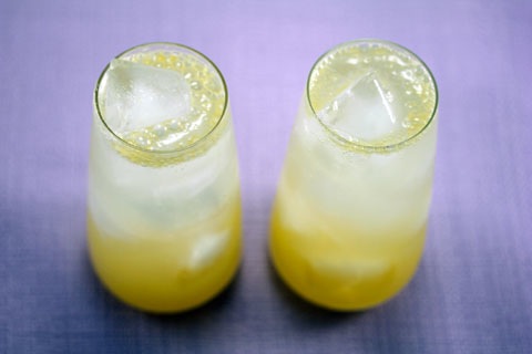 Meyer-Lemon-Tom-Collins-3.5.jpg