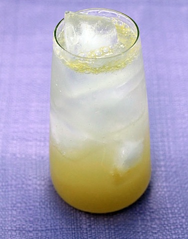 Meyer-Lemon-Tom-Collins-4.jpg