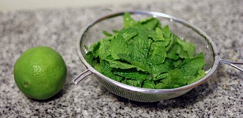 Mint-Lime-Ice-Cubes-Ingredients.jpg