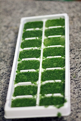 Mint-Lime-Ice-Cubes.jpg