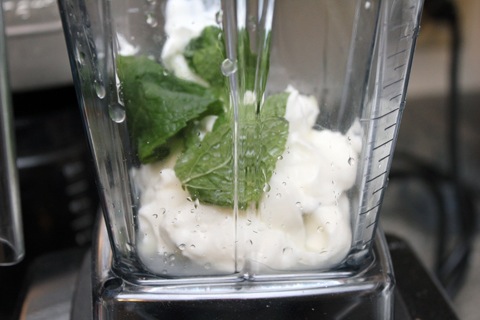 Mint-Yogurt-Dressing-Blender.jpg