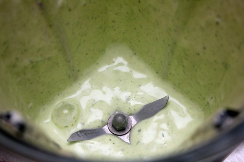 Mint-Yogurt-Dressing-Mixed.jpg
