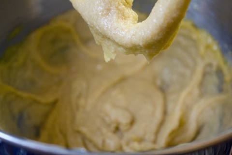 Mocha Cappuccino Cinnamon Cookies Batter 2.jpg