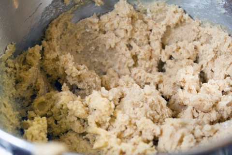 Mocha Cappuccino Cinnamon Cookies Batter 3.jpg