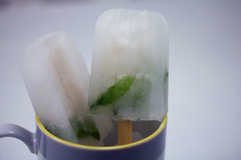 Mojito-Popsicles-4.jpg