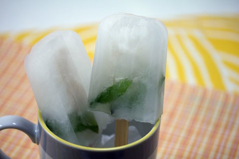 Mojito-Popsicles-7.jpg