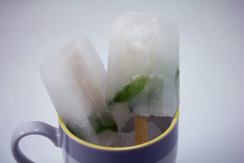 Mojito-Popsicles-8.jpg