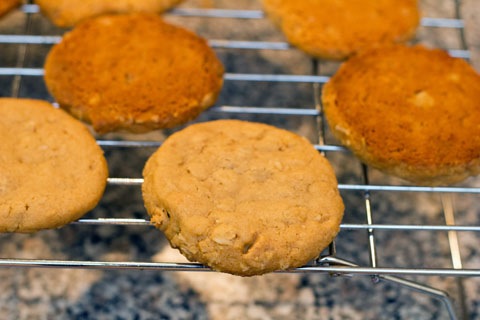 PB&J Sandwich Cookies Cooling.jpg