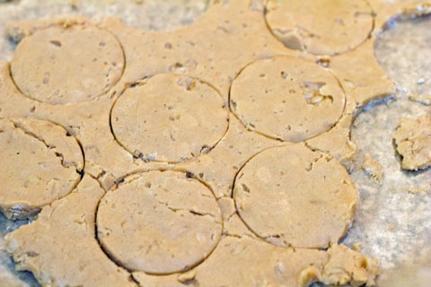 PB&J Sandwich Cookies Cut Out.jpg