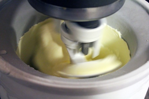 Peppermint-Marshmallow-Ice-Cream-Ice-Cream-Maker.jpg