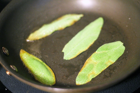 Pumpkin-Mac-and-Cheese-Sage.jpg