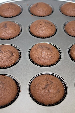 S'Mores Vodka Cupcakes Baked.jpg