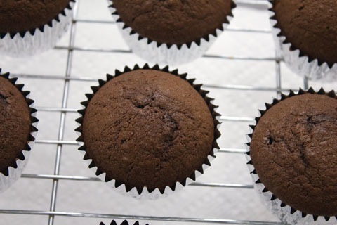 S'Mores Vodka Cupcakes Cooling.jpg
