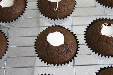 S'Mores Vodka Cupcakes Filled.jpg