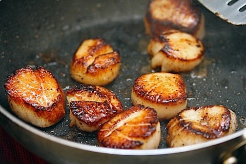 Scallops-With-Apple-Cider-Glaze-Scallops-Grilled.jpg