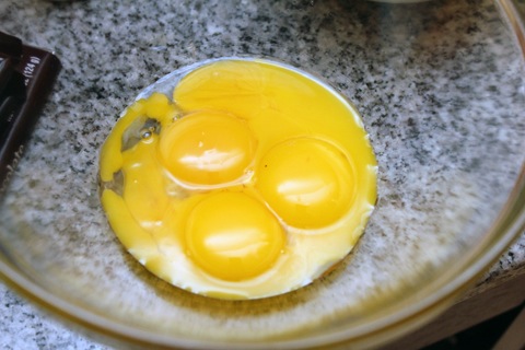 S'mores-Ice-Cream-Egg-Yolks.jpg