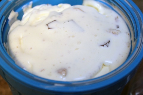 S'mores-Ice-Cream-Freezing-Pint.jpg