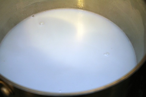 S'mores-Ice-Cream-Milk.jpg