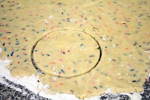 Sprinkles Dough Rolled Out Circle Cutout.jpg