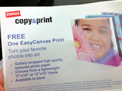 Staples Easy Canvas Coupon.jpg