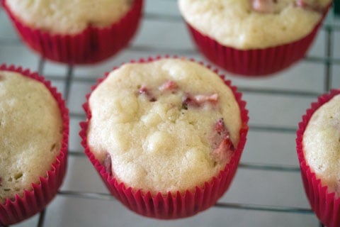 Strawberry Cupcakes with Mint Goat Cheese Buttercream Cooling.jpg