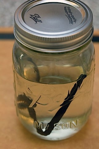 Vanilla Egg Cream Simple Syrup Chilled.jpg