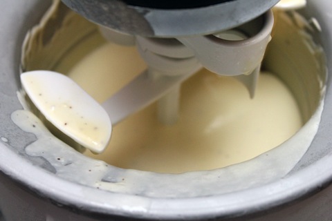 White-Chocolate-Strawberry-Ice-Cream-Ice-Cream-Machine.jpg