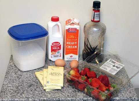 White-Chocolate-Strawberry-Ice-Cream-Ingredients.jpg