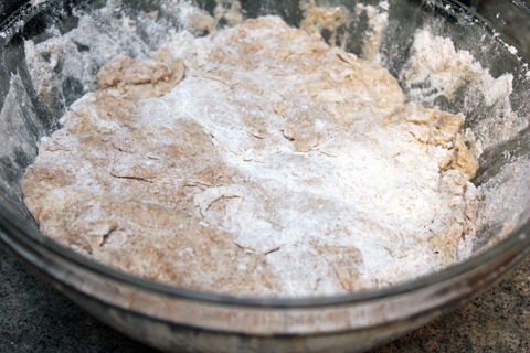 Whole-Wheat-Dough-Bowl.jpg