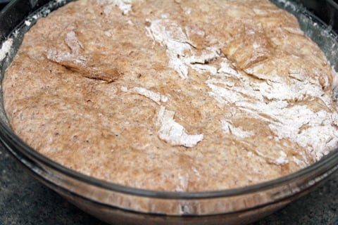 Whole-Wheat-Dough-Dough-Rising.jpg