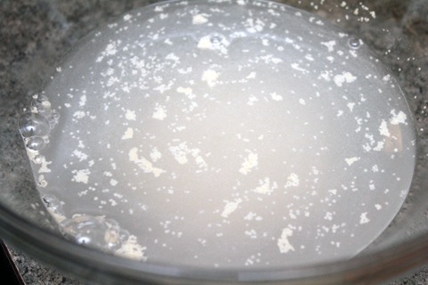 Whole-Wheat-Dough-Yeast.jpg