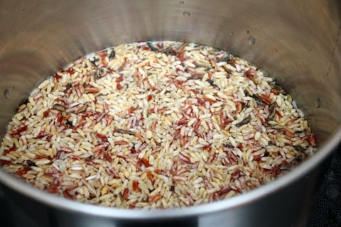Wild-Rice-Chicken-Sausage-Stew-Rice.jpg