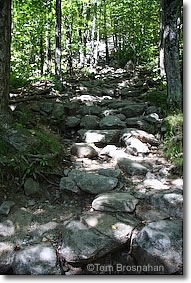 monadnock_trail7044.jpg