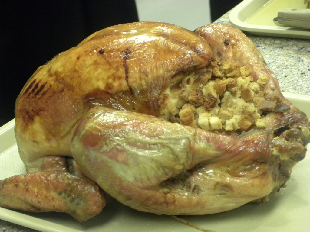 turkey turkey